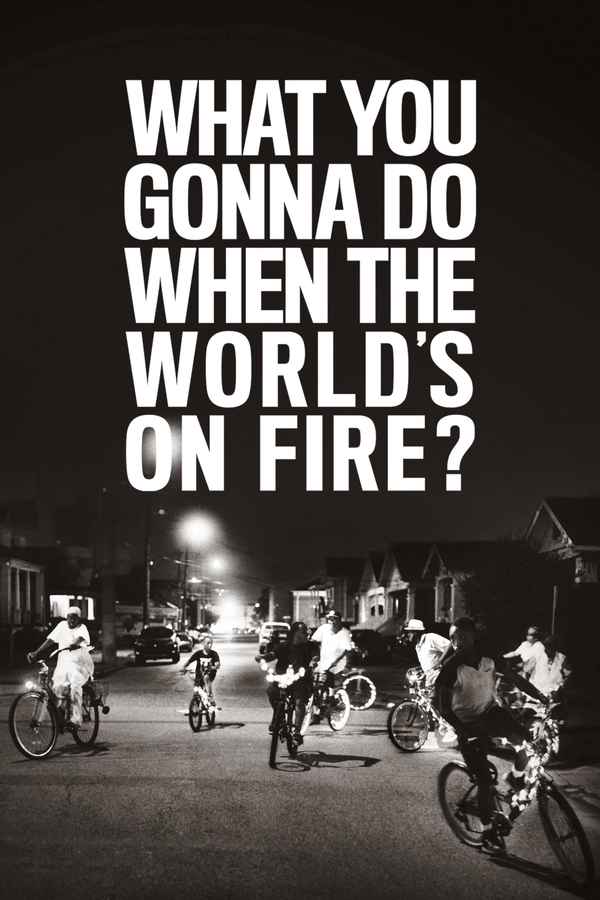 What You Gonna Do When the World's on Fire? Poster 5