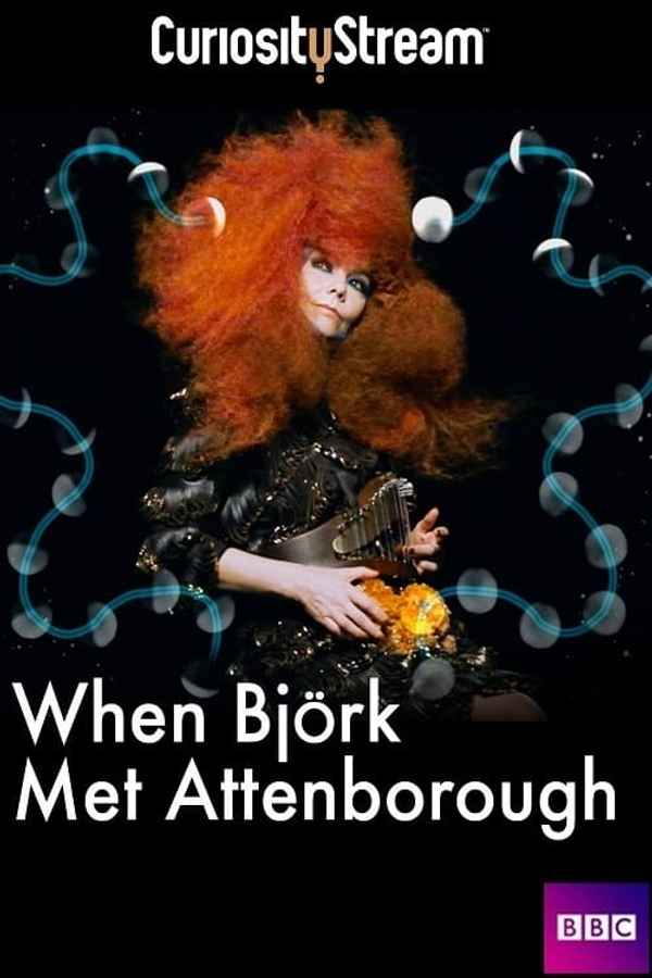 When Björk Met Attenborough Poster 4