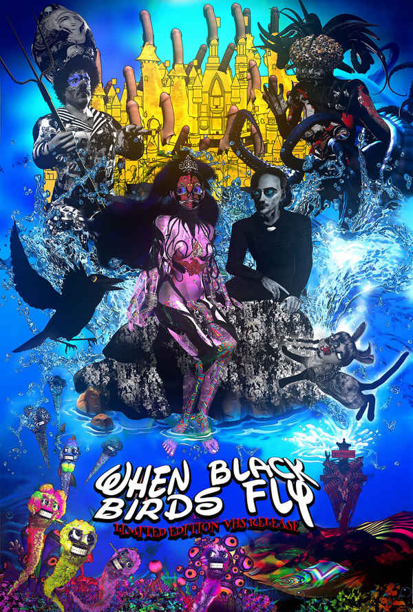 When Black Birds Fly Poster 4