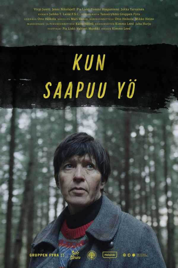 When the Night Falls Poster 2