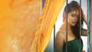 Where is the Venkatalakshmi Poster 4