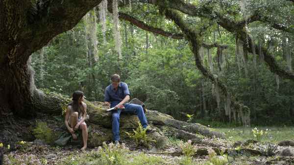 Where the Crawdads Sing Poster 1