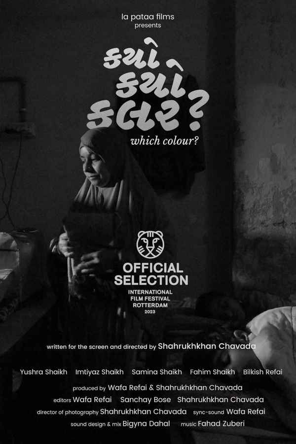 Which Colour? Poster 4