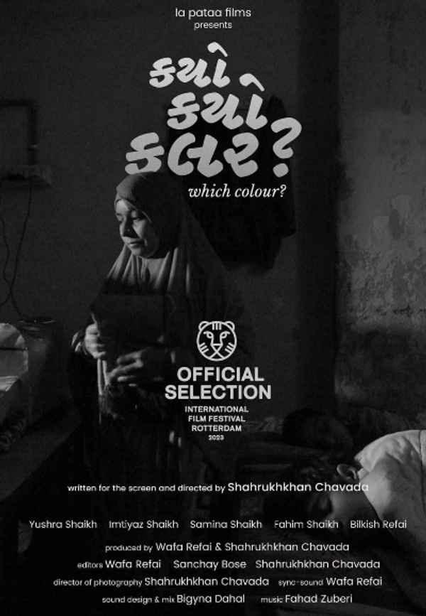 Which Colour? Poster 6