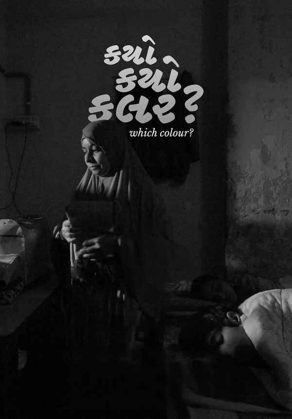 Which Colour? Poster 3