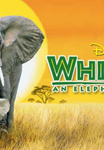 Whispers: An Elephant's Tale