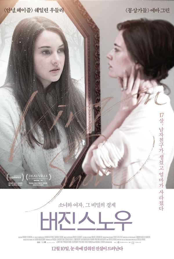 White Bird in a Blizzard Poster 6