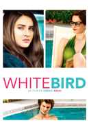 White Bird in a Blizzard Poster 1