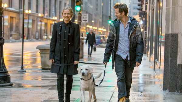 Who Gets the Dog? Poster 1