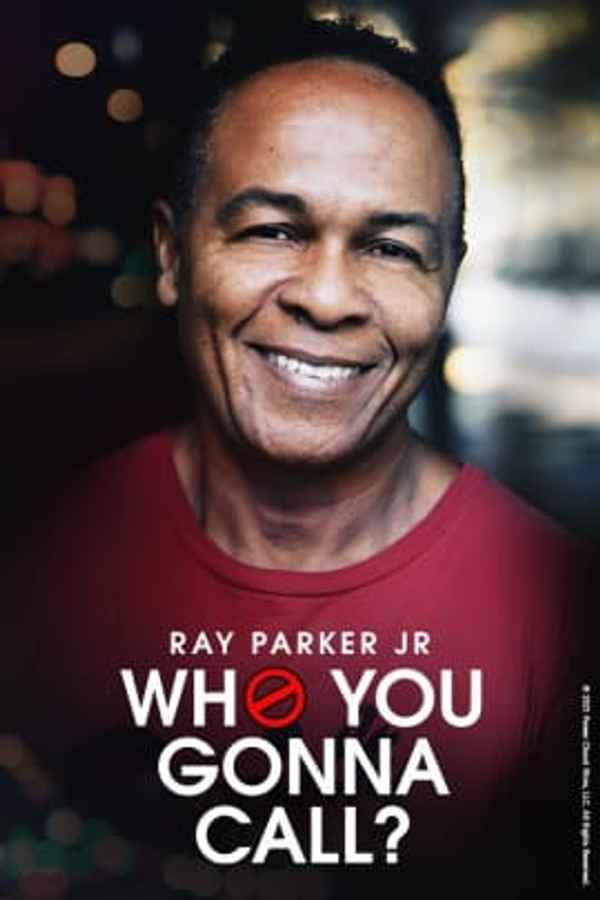 Who You Gonna Call? Poster 5