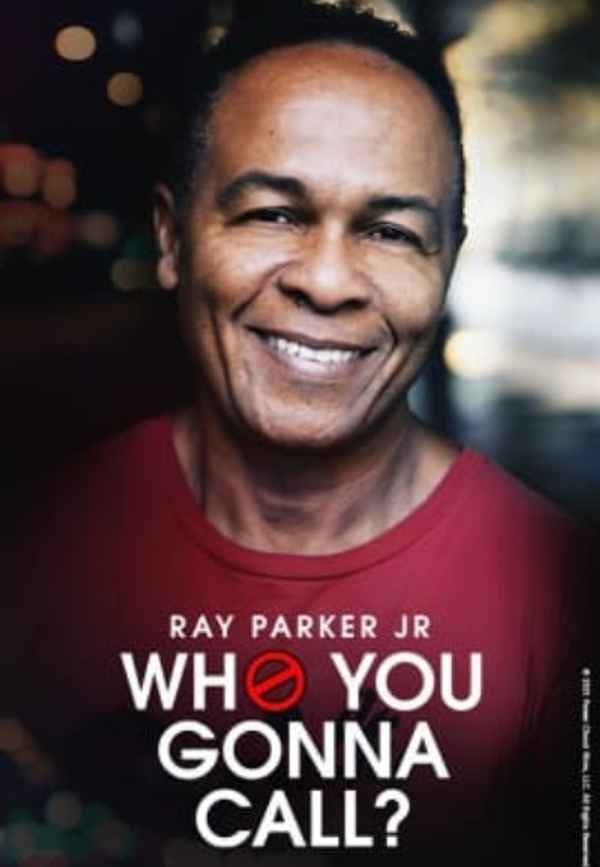 Who You Gonna Call? Poster 4