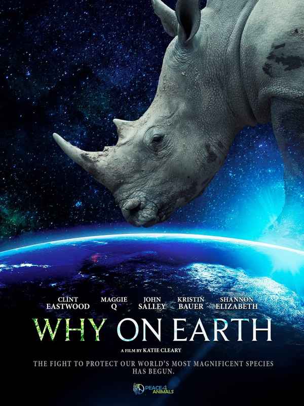 Why On Earth Poster 2
