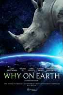 Why On Earth Poster 1