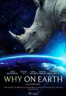 Why On Earth Poster 5