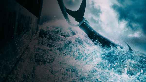 Wicked Tuna Poster 5