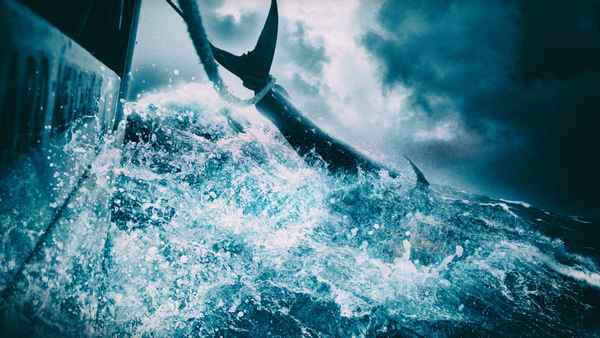 Wicked Tuna Poster 3