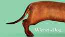 Wiener-Dog Poster 2