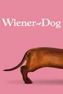 Wiener-Dog Poster 7