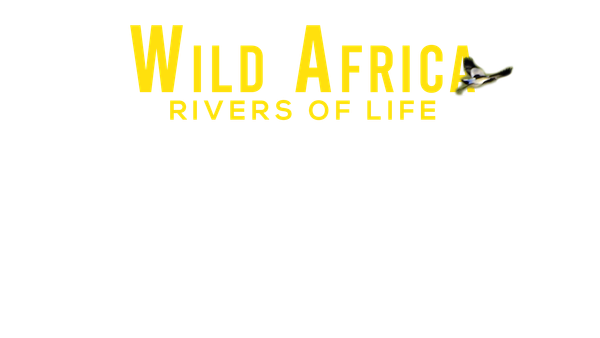 Wild Africa: Rivers of Life Poster 6