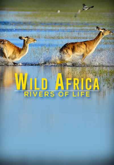 Wild Africa: Rivers of Life