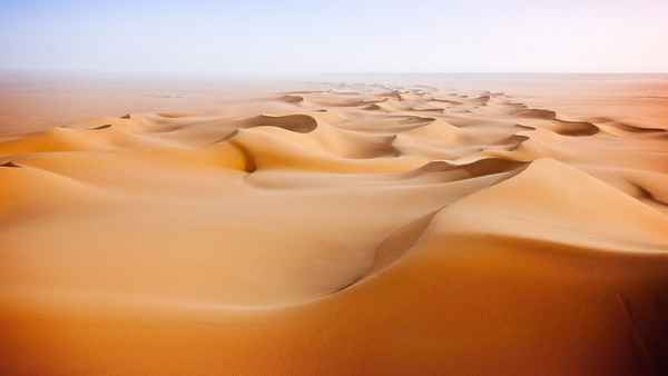 Wild Arabia Poster 1