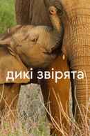 Wild Babies Poster 2