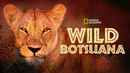 Wild Botswana Poster 6