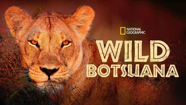 Wild Botswana Poster 6