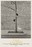 Wild Canaries Poster 2