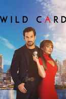 Wild Cards Poster 6