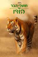 Wild Cats of India Poster 6