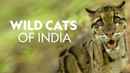 Wild Cats of India Poster 5