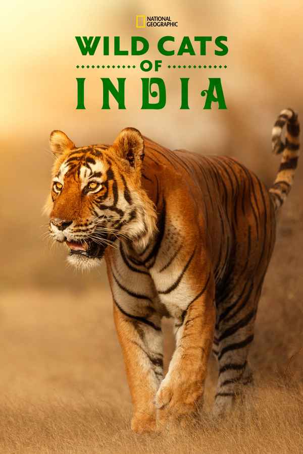 Wild Cats of India Poster 3