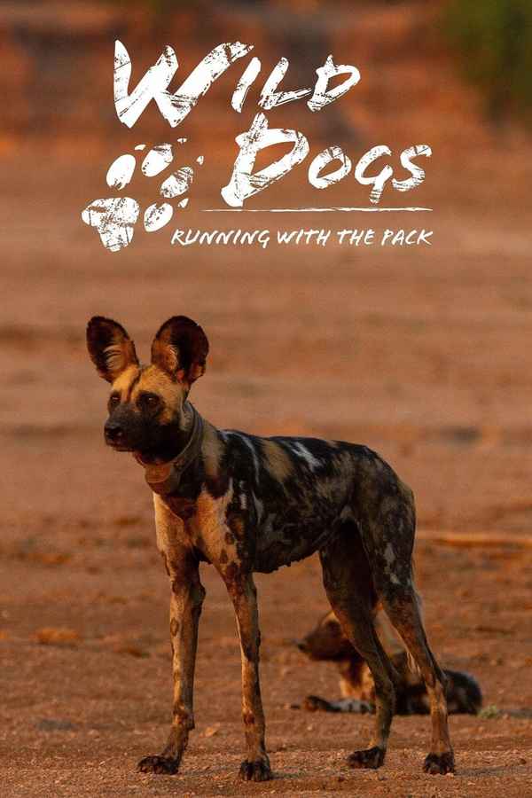 Wild Dogs: Running with the Pack Poster 2