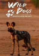 Wild Dogs: Running with the Pack Poster 3