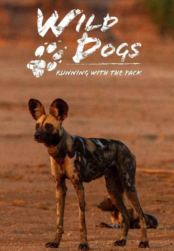 Wild Dogs: Running with the Pack Poster 3