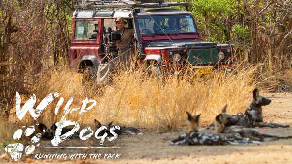 Wild Dogs: Running with the Pack Poster 1