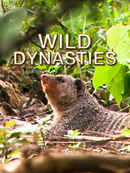 Wild Dynasties Poster 7