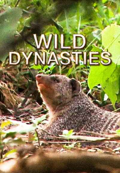 Wild Dynasties