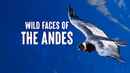 Wild Faces of the Andes Poster 2