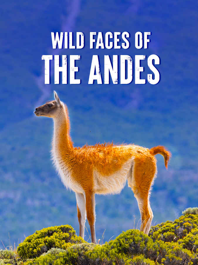 Wild Faces of the Andes