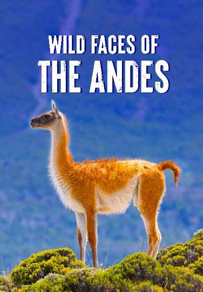 Wild Faces of the Andes