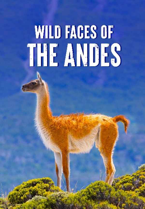 Wild Faces of the Andes Poster 6