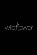 Wild Flower Poster 1