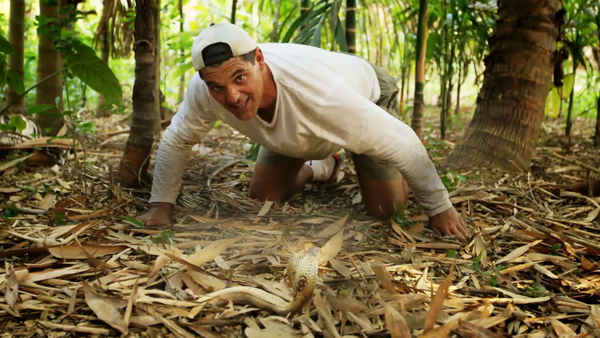 Wild Frank In India Poster 2