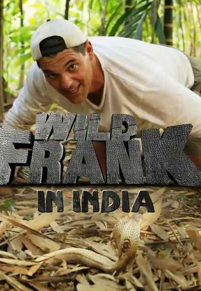 Wild Frank In India