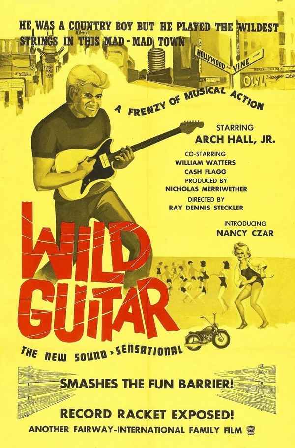 Wild Guitar Poster 5