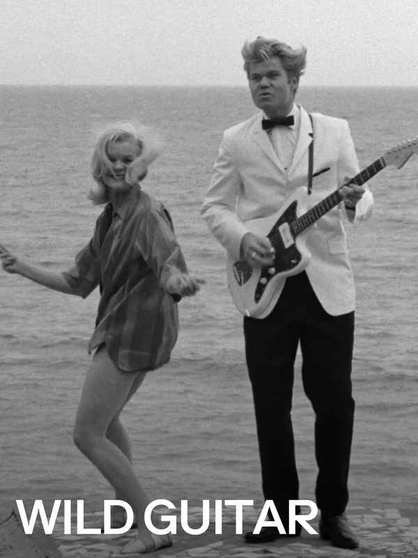 Wild Guitar Poster 3