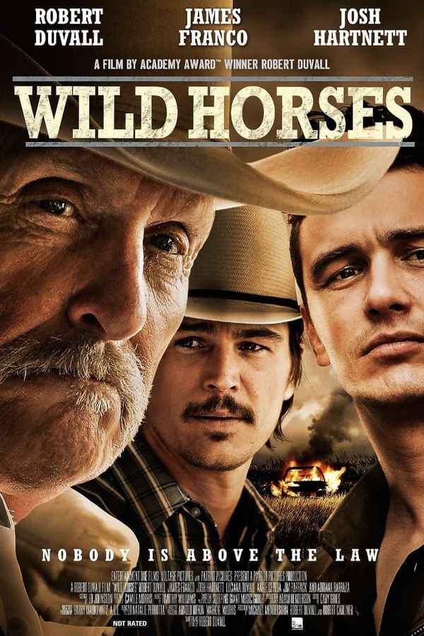 Wild Horses Poster 4