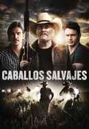 Wild Horses Poster 5